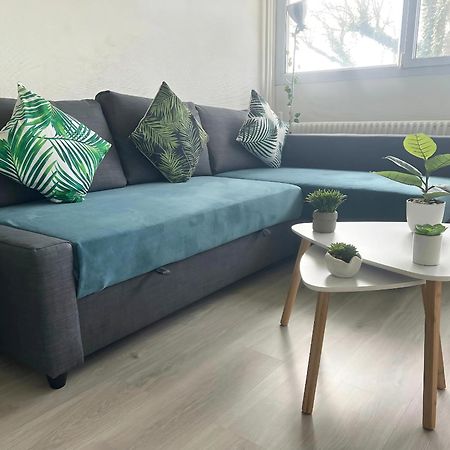 Appartement Le Classik' Parking Prive Mâcon Exteriör bild